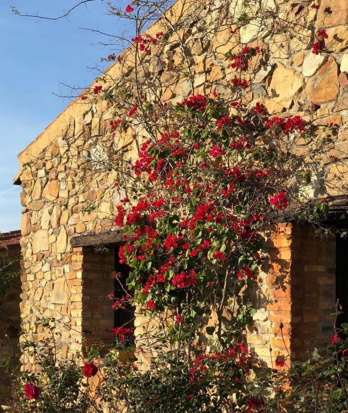 Finca Los Caleros Juan Gallegos Εξωτερικό φωτογραφία