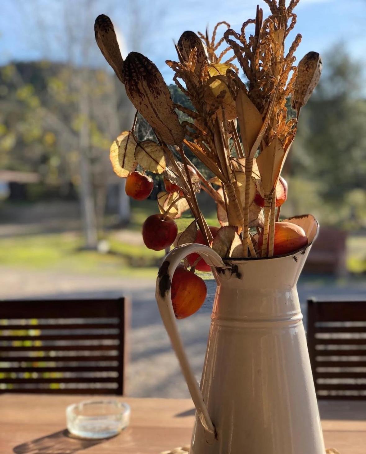 Finca Los Caleros Juan Gallegos Εξωτερικό φωτογραφία