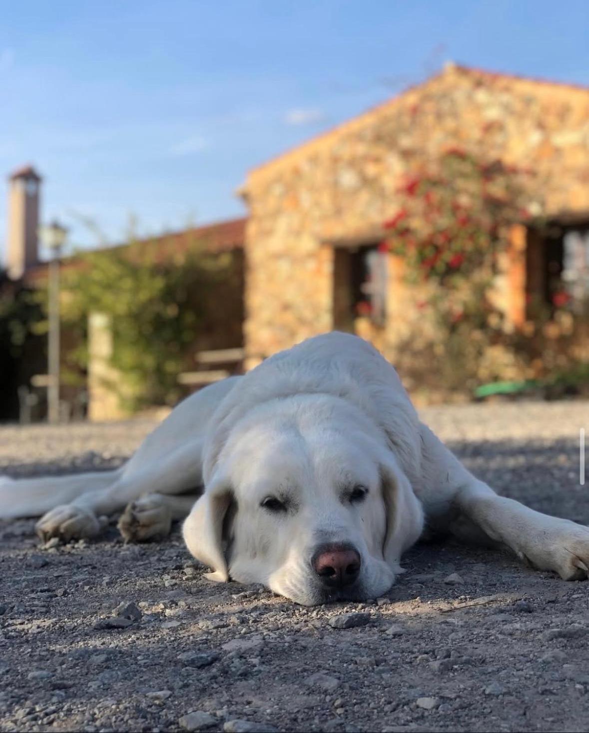 Finca Los Caleros Juan Gallegos Εξωτερικό φωτογραφία