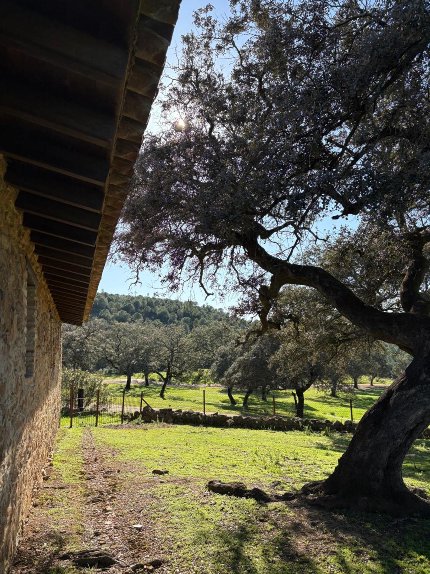 Finca Los Caleros Juan Gallegos Εξωτερικό φωτογραφία