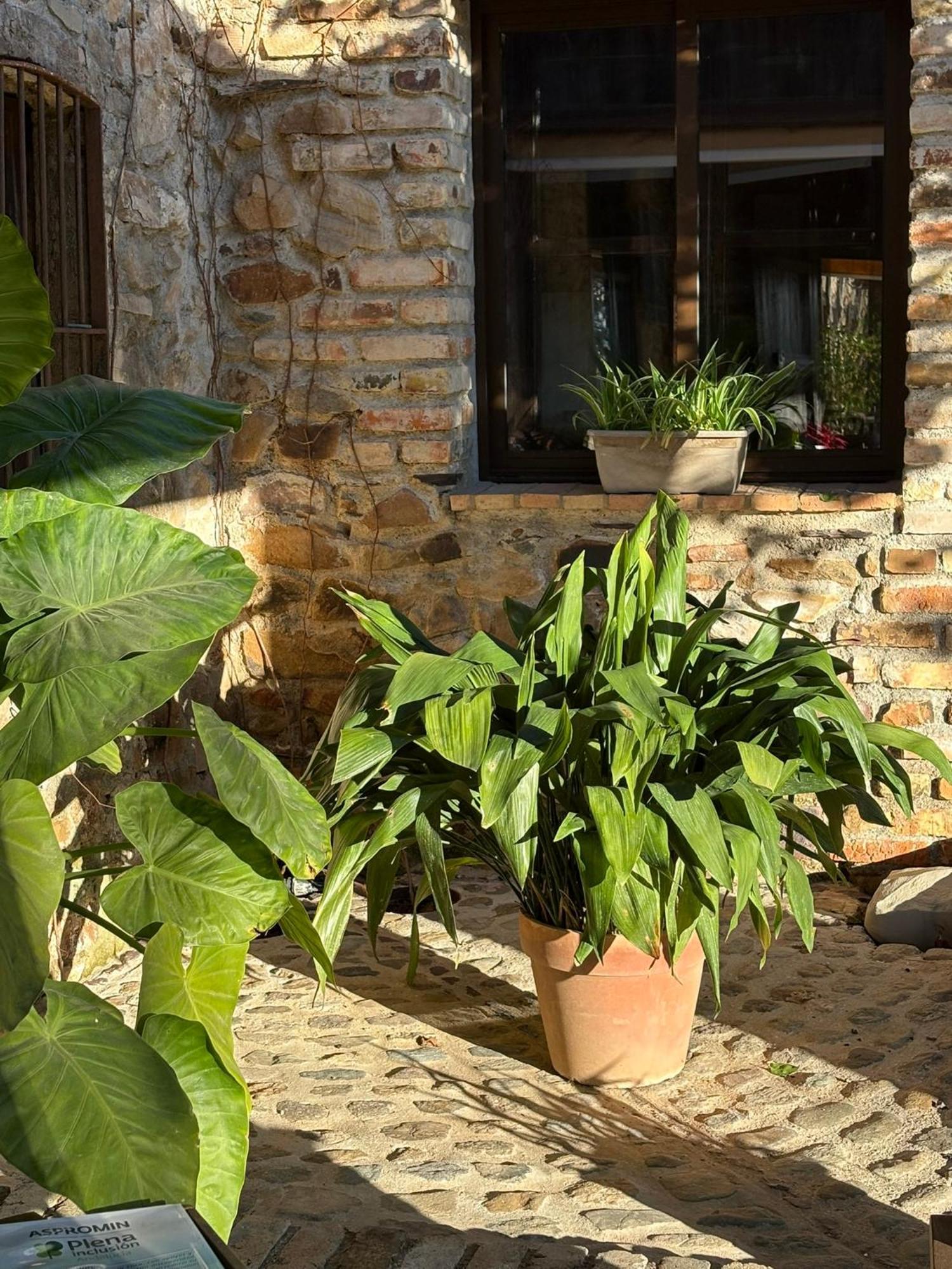 Finca Los Caleros Juan Gallegos Εξωτερικό φωτογραφία